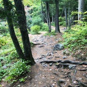 Meet your Posher, Cody